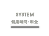 SYSTEM